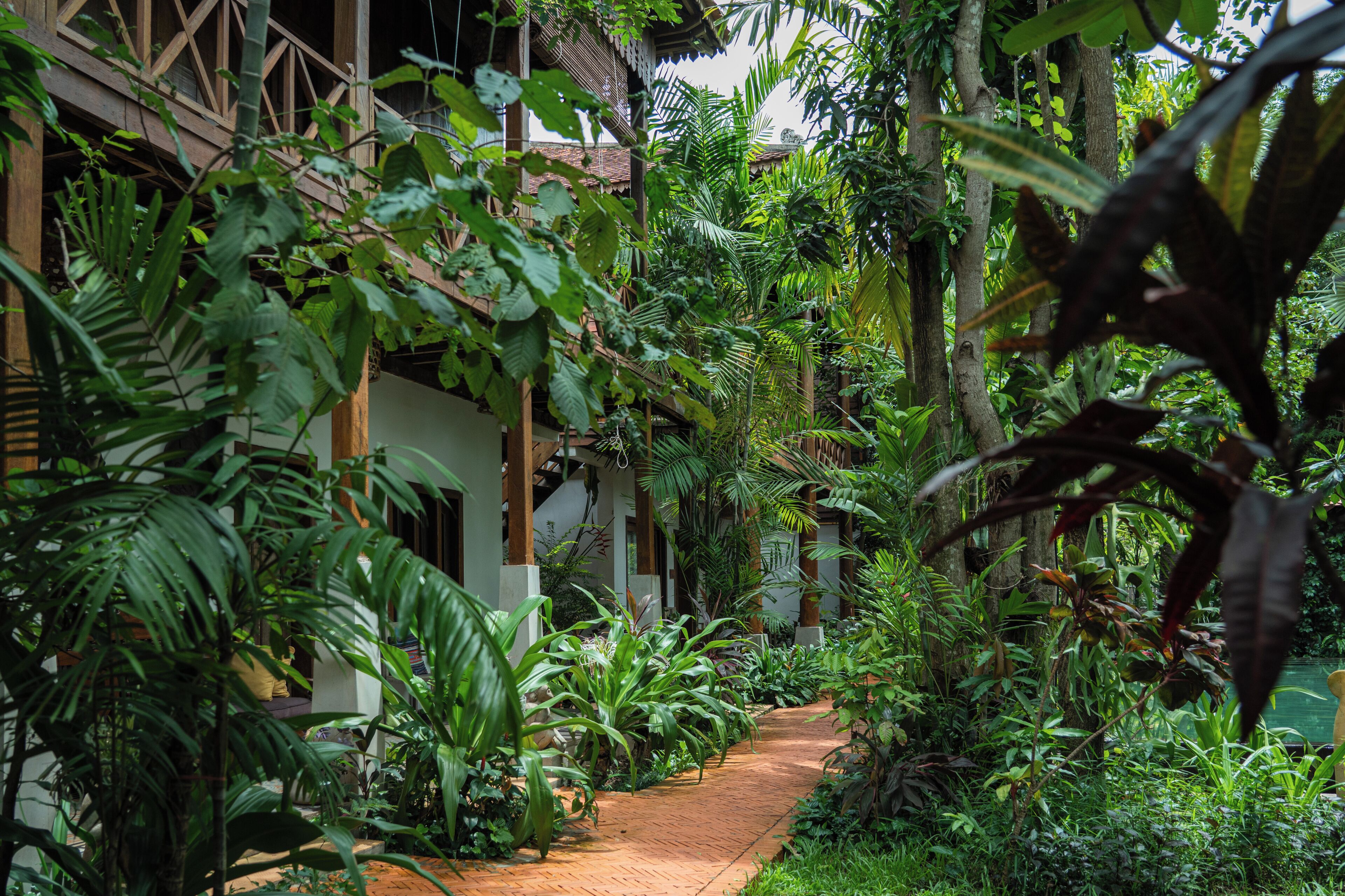Foto - Isann Lodge
