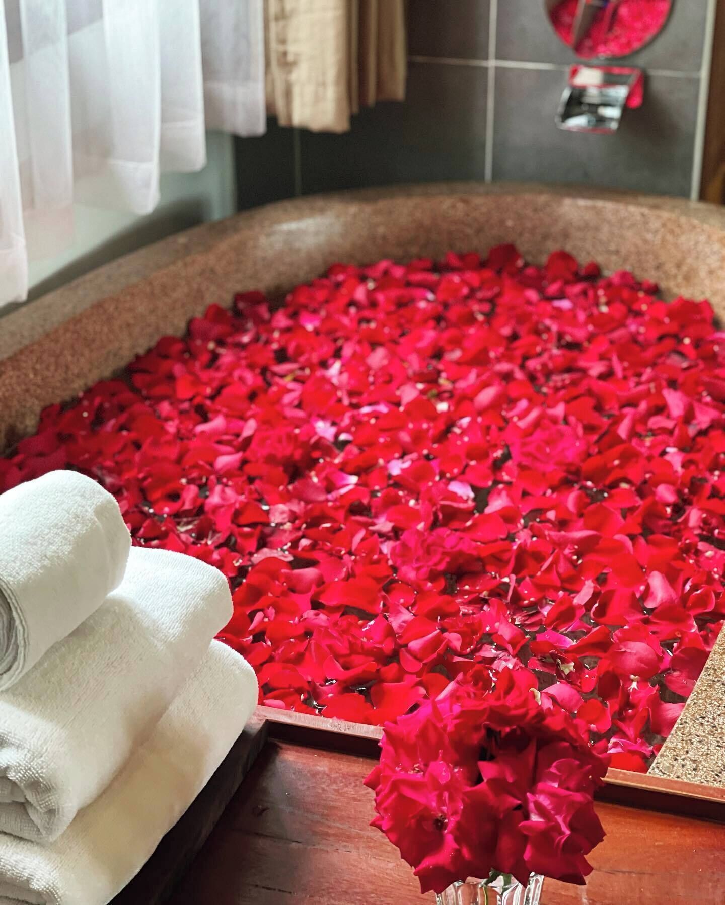 minibar, in-room safe, desk, blackout curtains