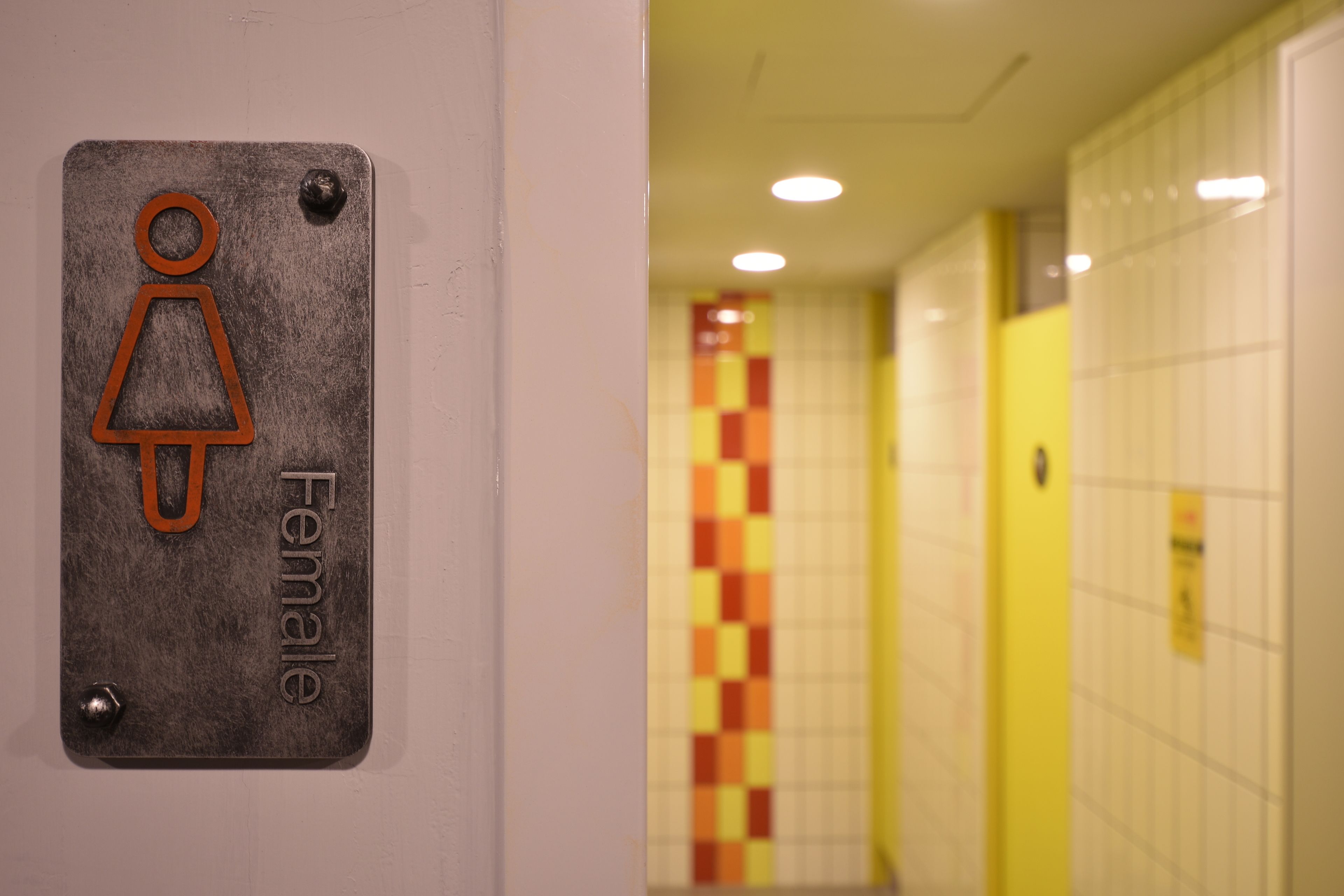 A restroom sign indicating a female bathroom.