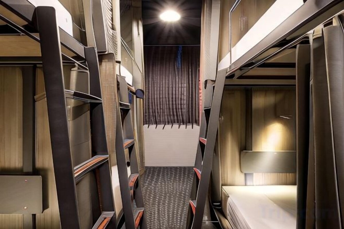 6-Bed Mixed Dormitory Room