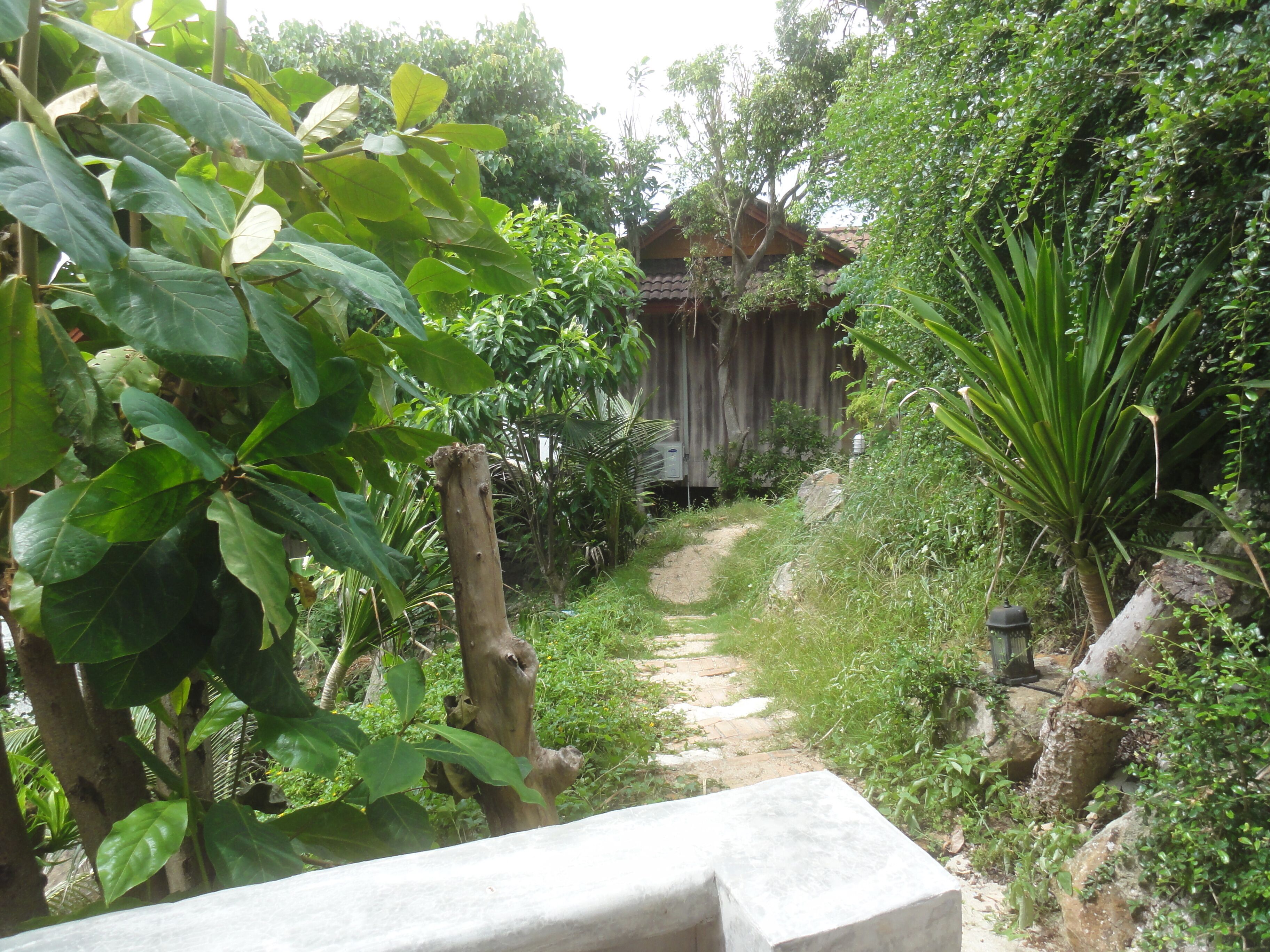 A garden pathway with a concrete bench, surrounded by lush greenery and a wooden fence in the background.