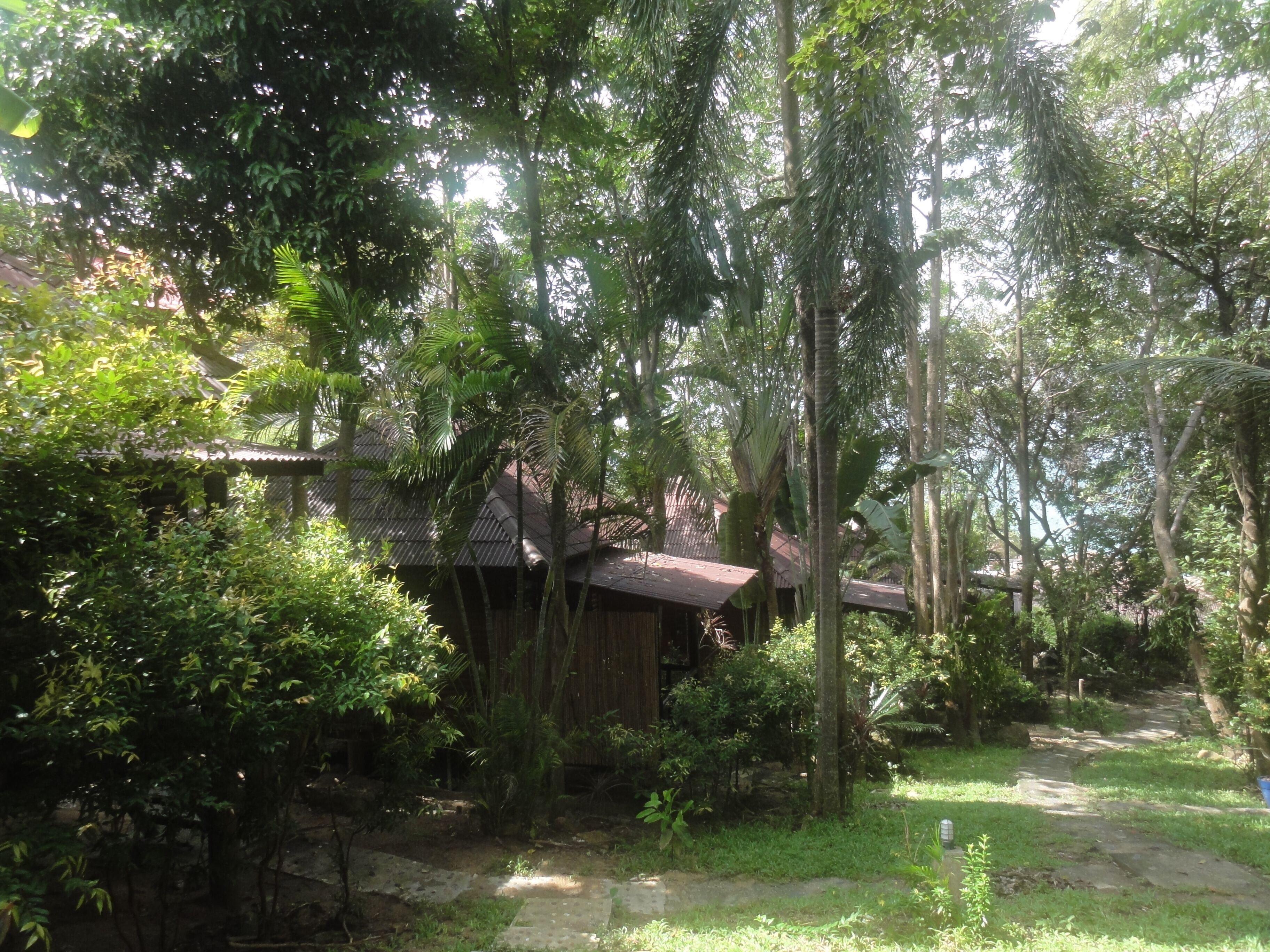 A rustic wooden house surrounded by lush greenery and a stone pathway.