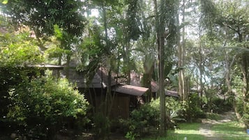 A rustic wooden house surrounded by lush greenery and a stone pathway.