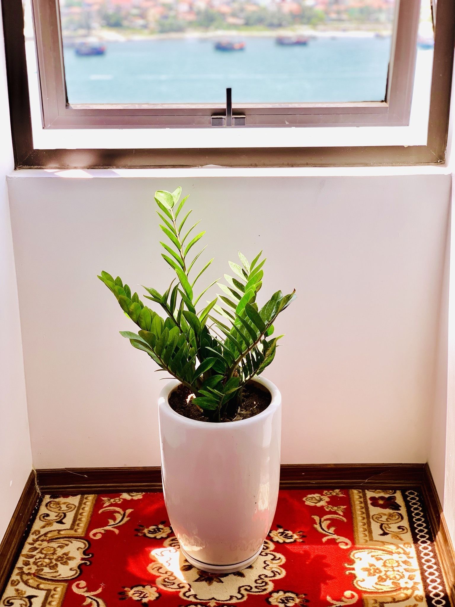 A potted plant on a table with a view of a body of water through a window.