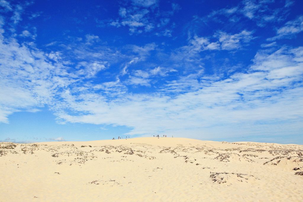 A desert landscape with a clear sky and a group of people at the base of a sand dune.
