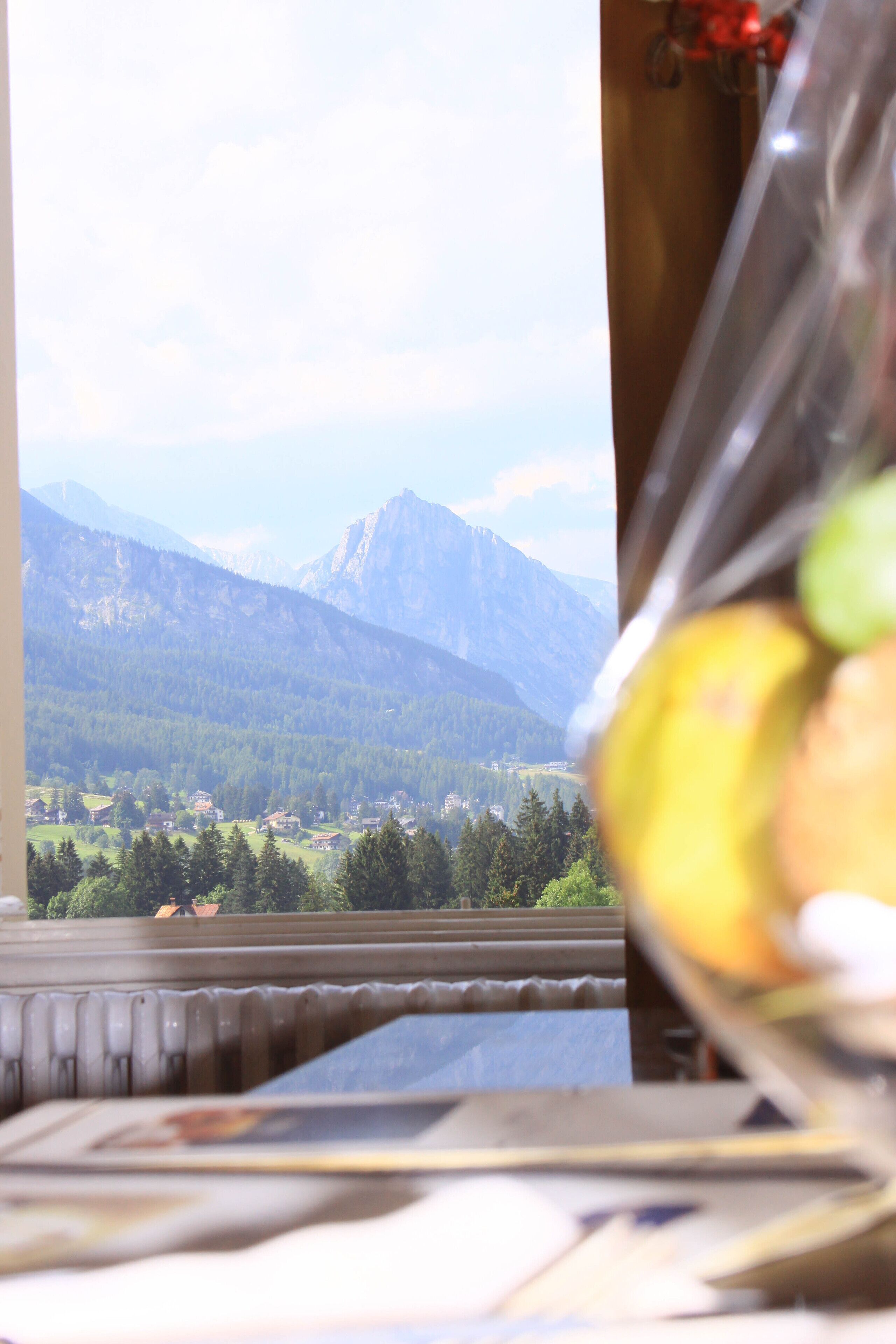 Superior Single Room, 1 Queen Bed, Balcony, Mountain View | View from room