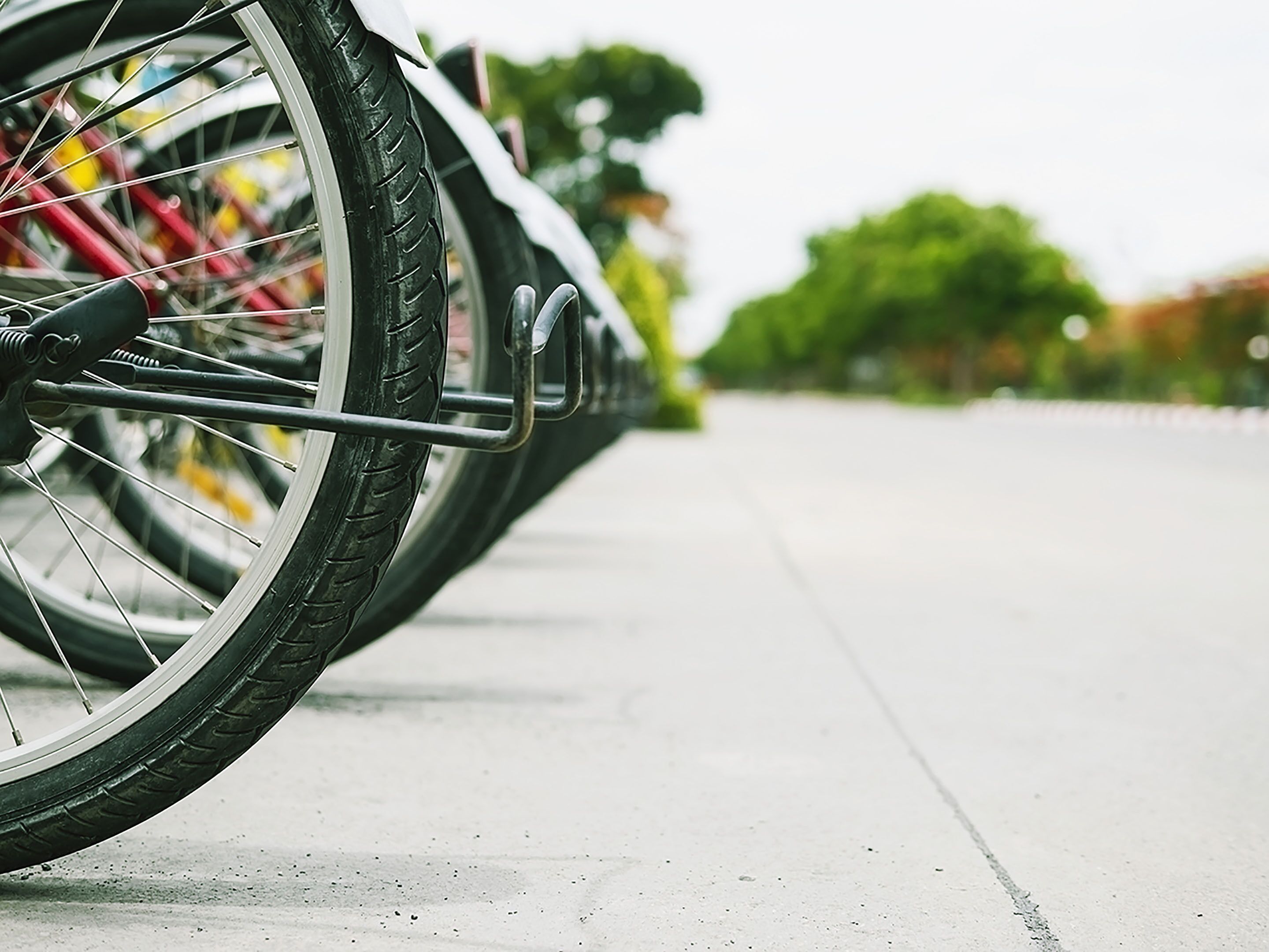 A close-up of a bicycle wheel with a rack attached, parked on a paved surface.