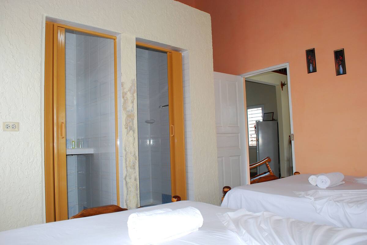 Comfort Double or Twin Room | Bathroom | Shower, free toiletries, hair dryer, towels