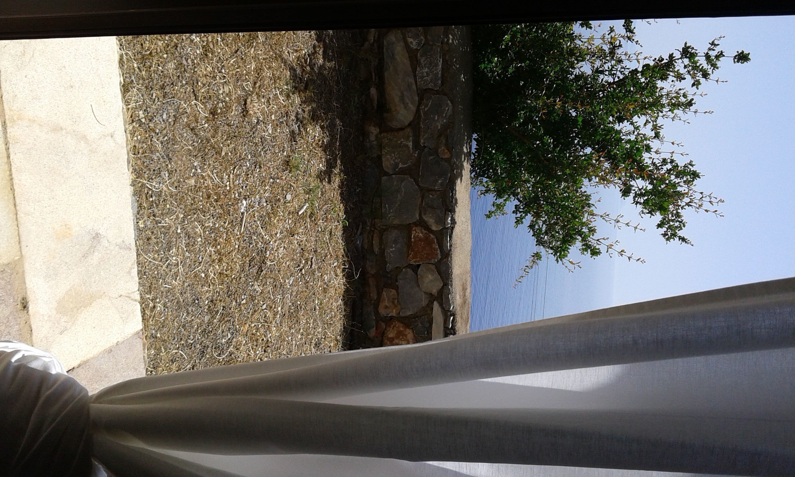 standard room, sea view | view from room