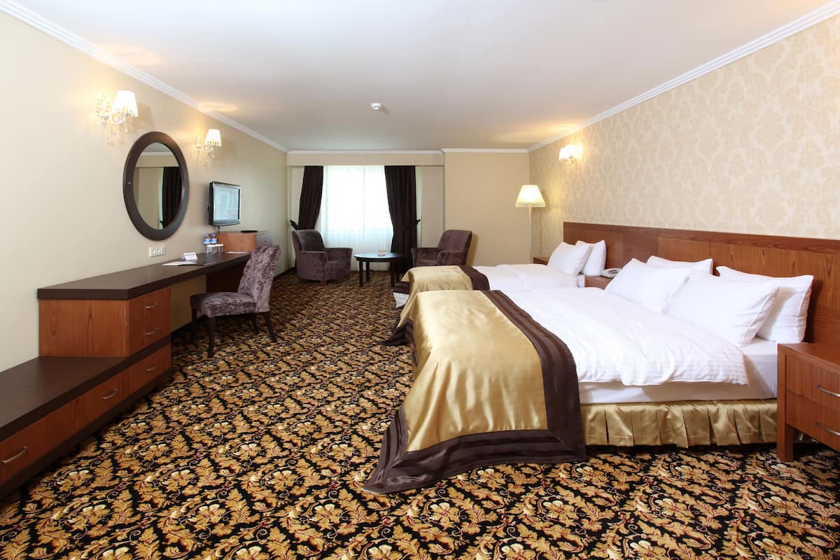 Habitación de hotel con una cama grande, un escritorio, dos sillones, una mesita y un televisor.
