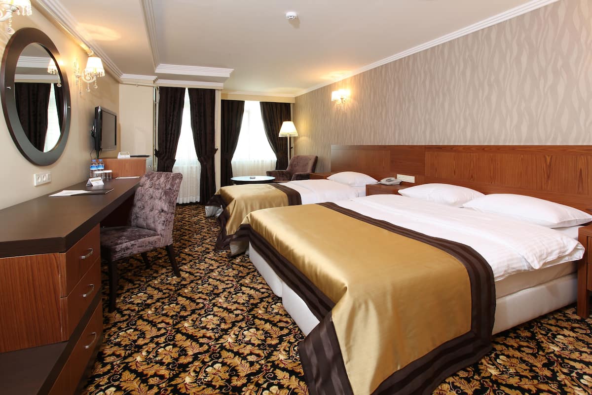 Standard Double Room | Egyptian cotton sheets, premium bedding, minibar, in-room safe