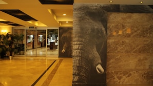 Een hal met een grote muurschildering van een olifant, een glazen deur en een betegelde vloer.