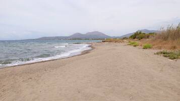 Una playa cerca, sillas reclinables de playa, sombrillas