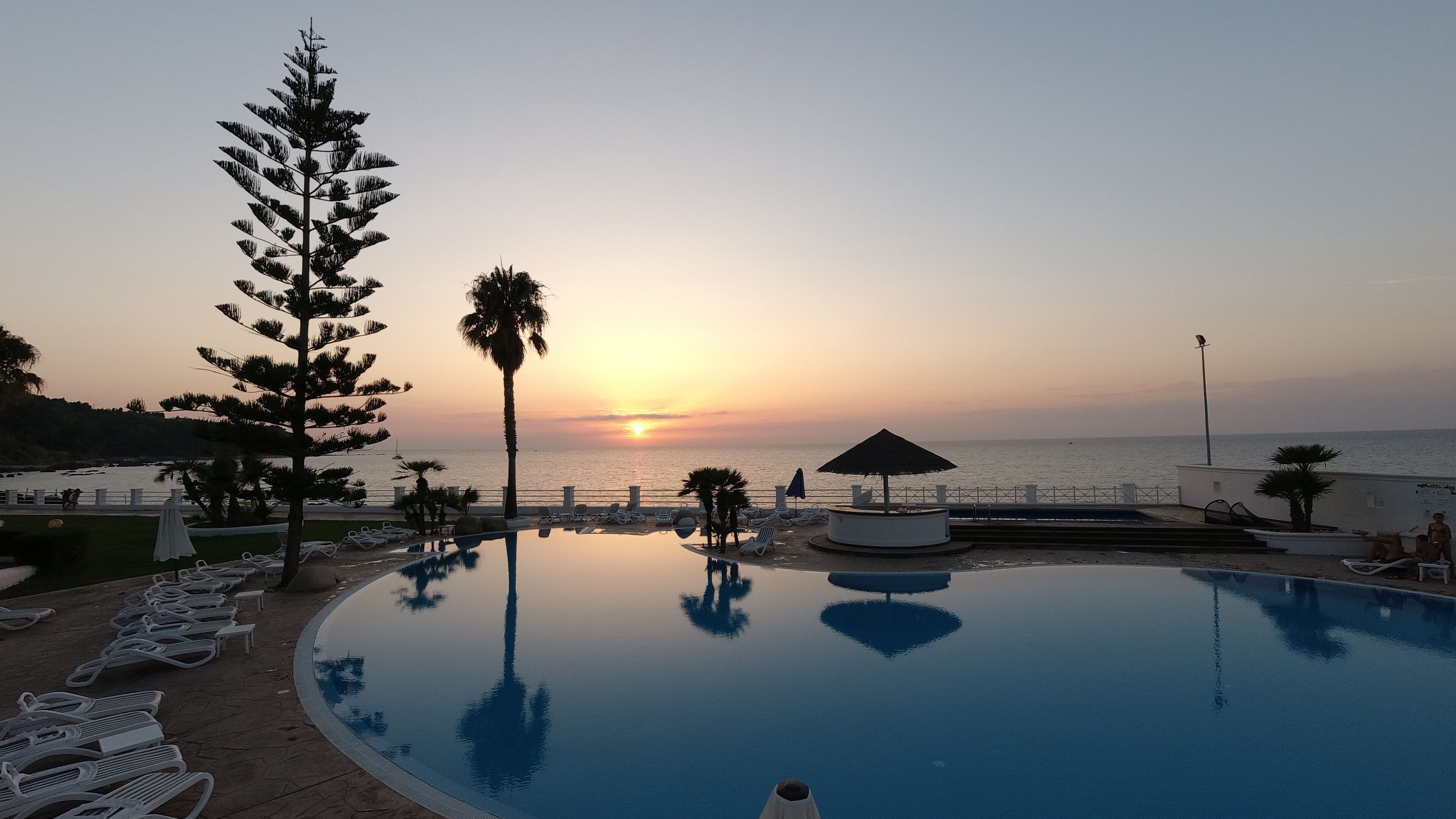 A poolside view with a sunset, lounge chairs, and a palm tree.