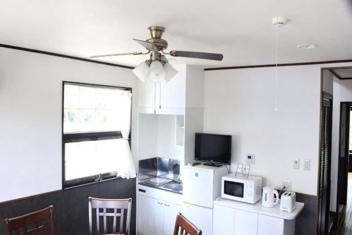 A compact kitchen with a ceiling fan, a microwave, a stove, and a television.