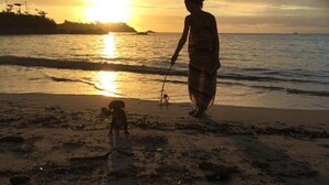 A beach scene with a sunset, a person walking with a child, and a dog. - Nangoku Lodge Booya (Onna)