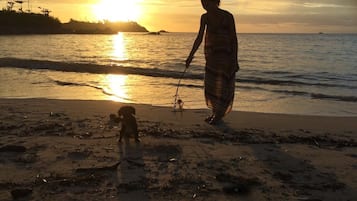 靠近海滩、水肺潜水、帆板运动