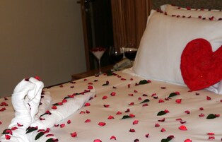 1 habitación, sábanas de algodón egipcio y ropa de cama de alta calidad 
