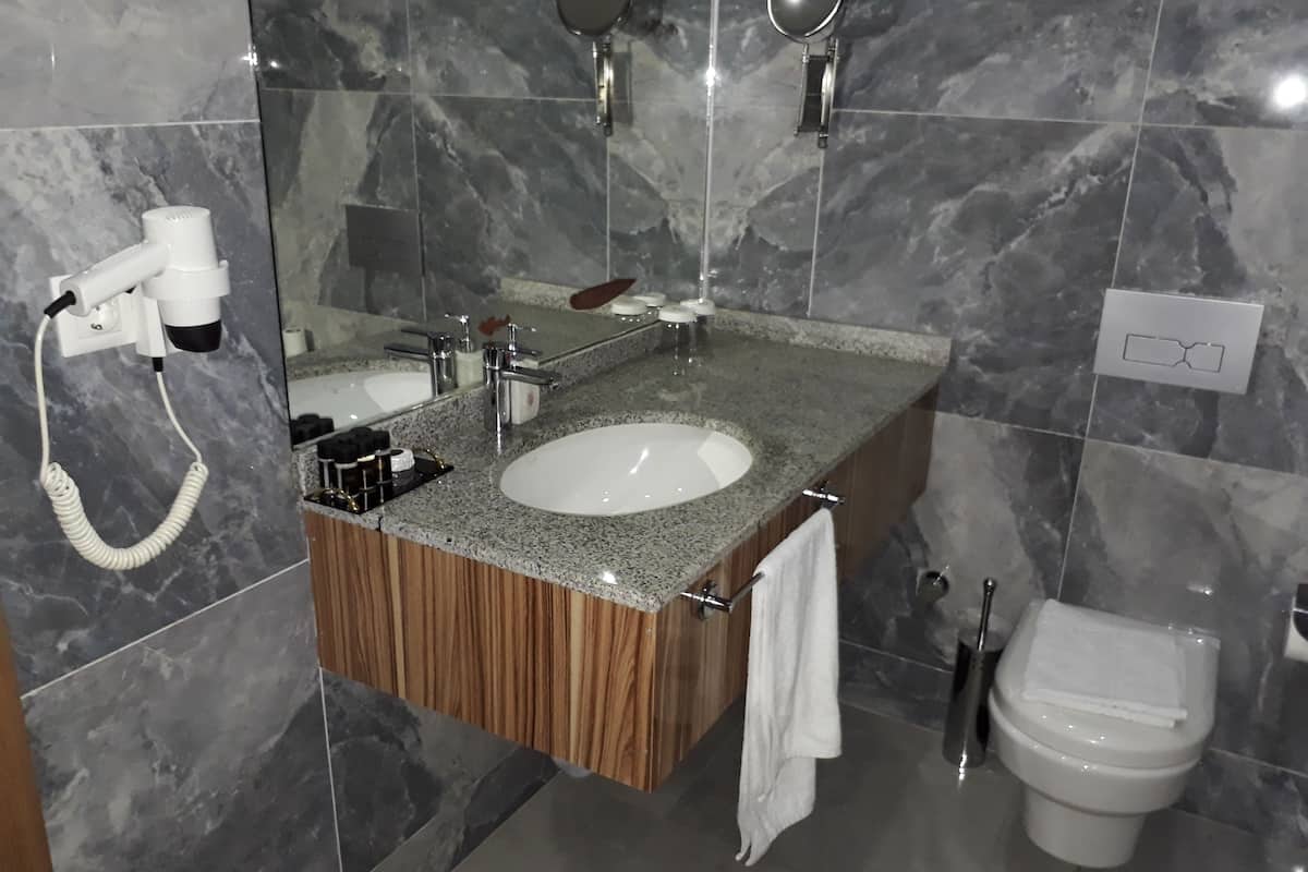 single room, city view | bathroom | shower, rainfall showerhead, designer toiletries, hair dryer