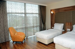 Luxury Twin Room, City View | View from room