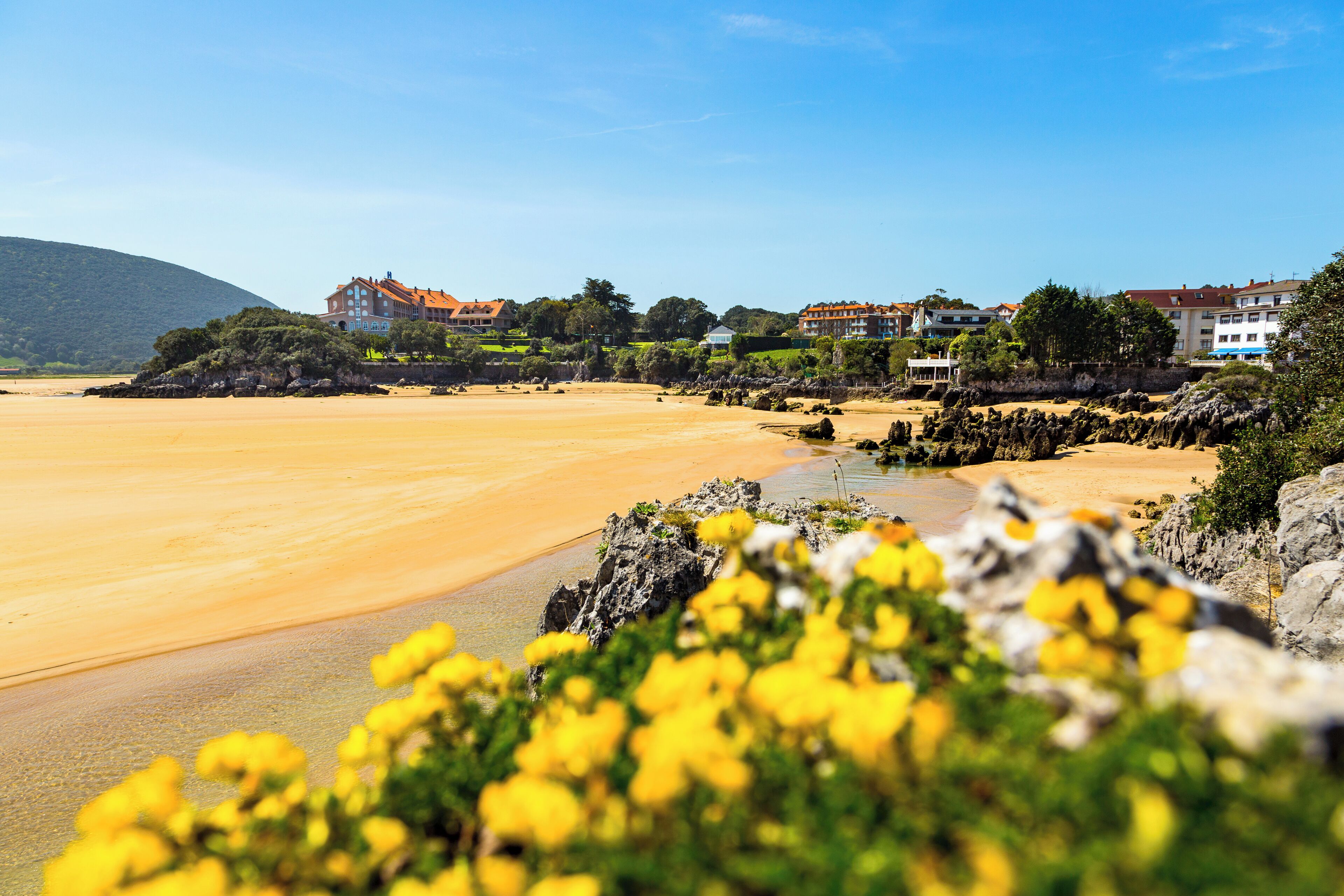 Una playa con arena, un promontorio rocoso con flores amarillas y edificios al fondo.