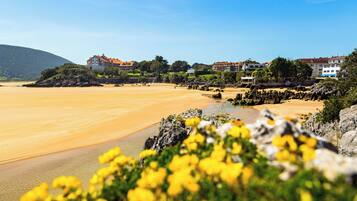 Una playa con arena, un promontorio rocoso con flores amarillas y edificios al fondo.