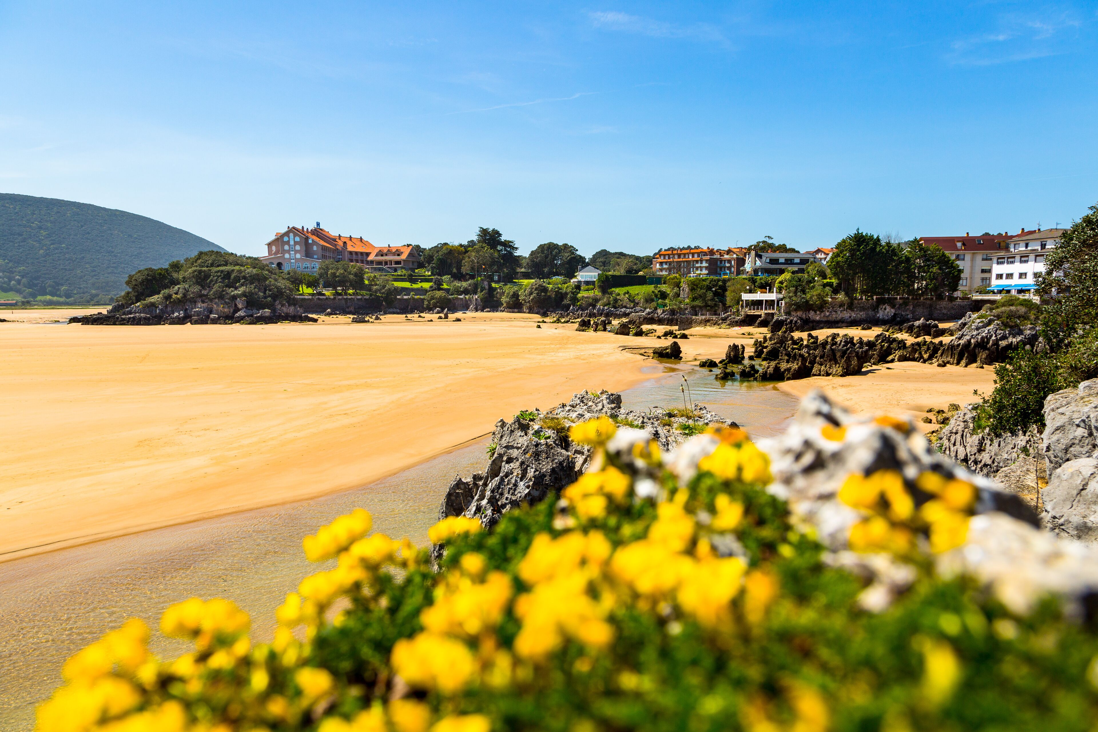A beach with a sandy shore, a rocky outcrop with yellow flowers, and buildings in the background.