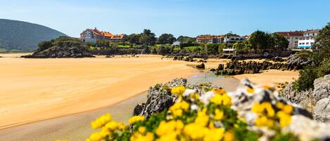 A beach with a sandy shore, a rocky outcrop with yellow flowers, and buildings in the background.