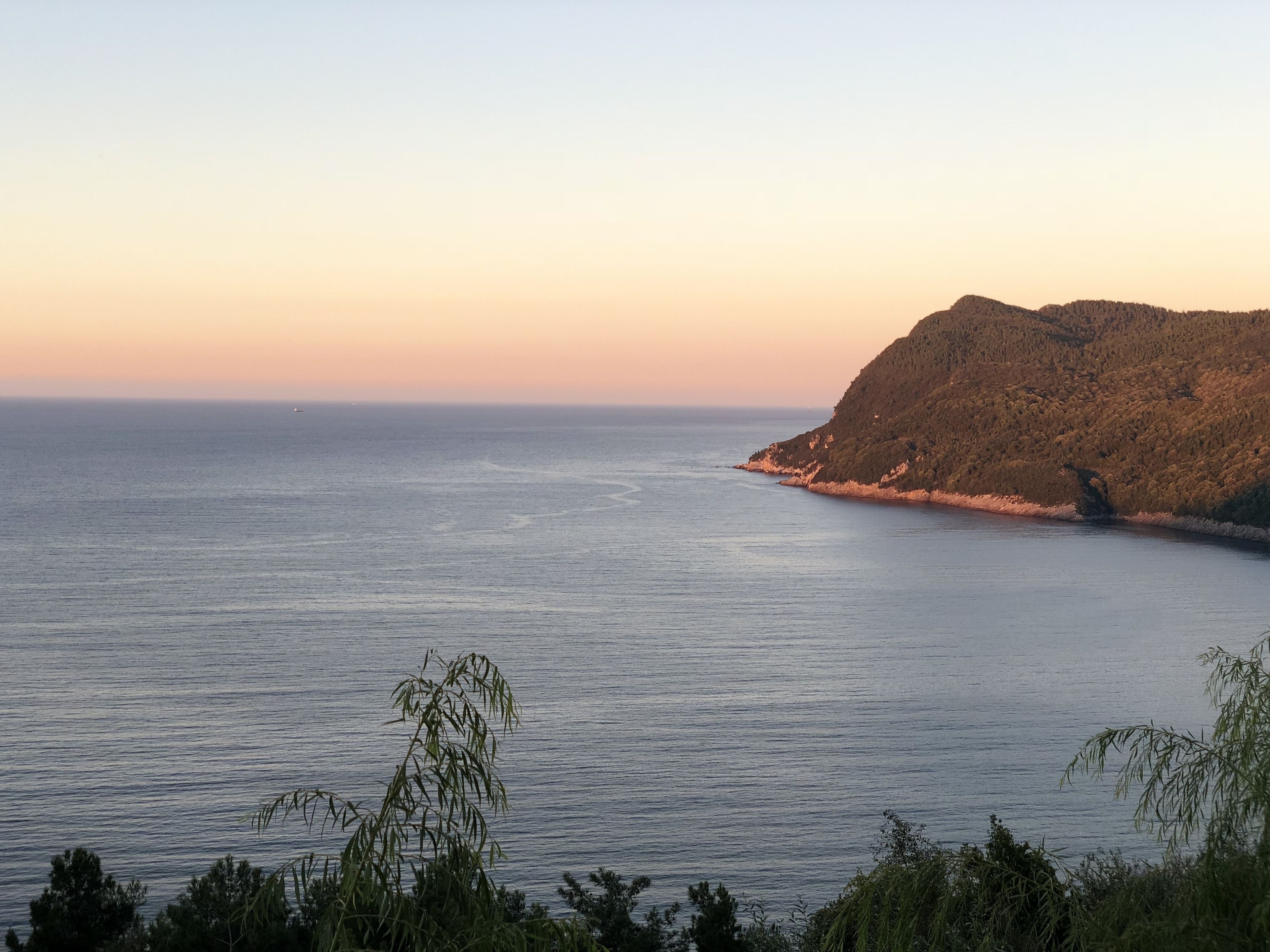 A coastal landscape with a calm sea, a hilly terrain, and dense vegetation in the foreground.