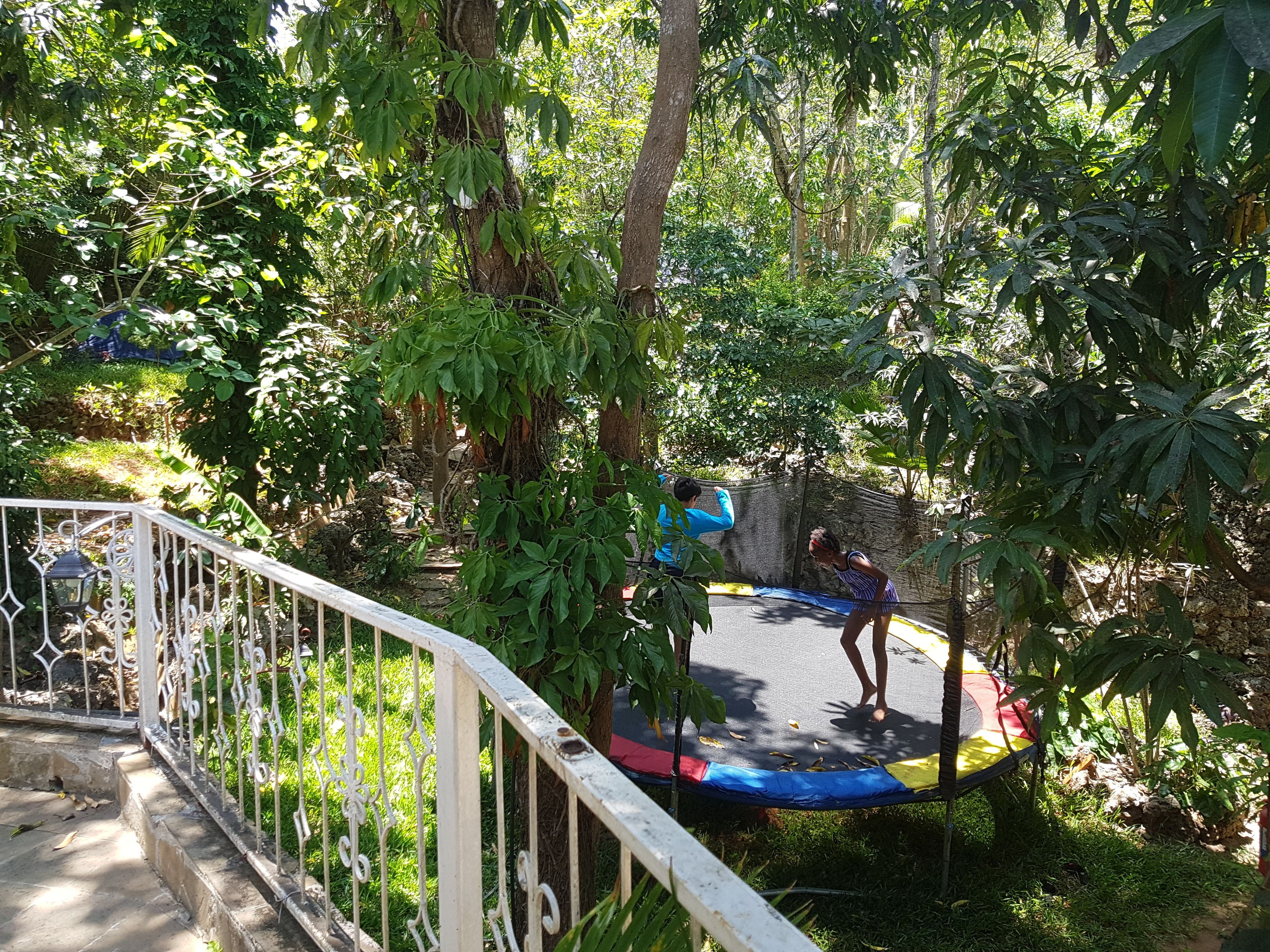 A trampoline in a lush, green outdoor area with a white metal railing and trees in the background.