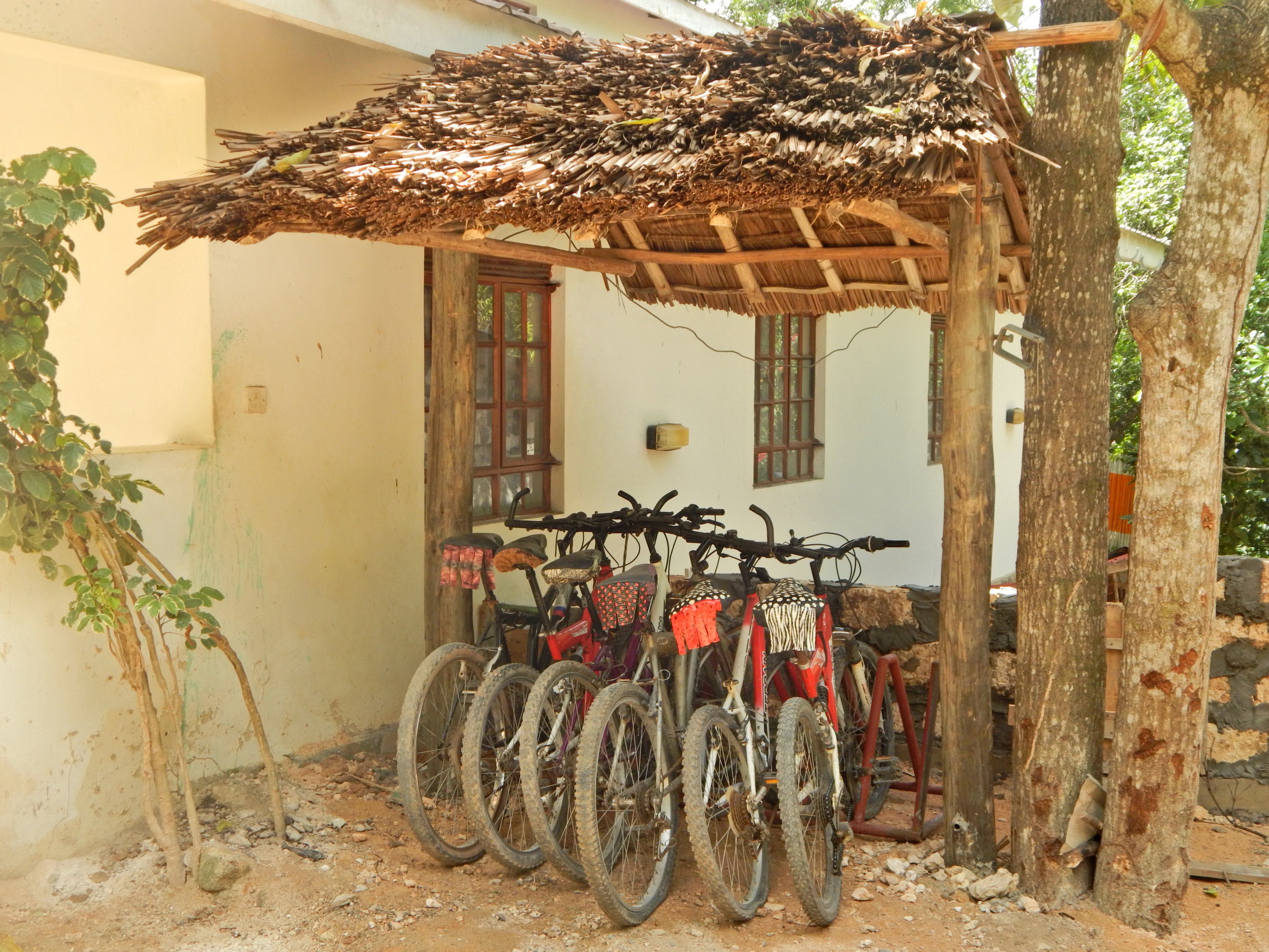 Un rifugio rustico con tetto di paglia, biciclette parcheggiate sotto e un edificio con finestre sullo sfondo.
