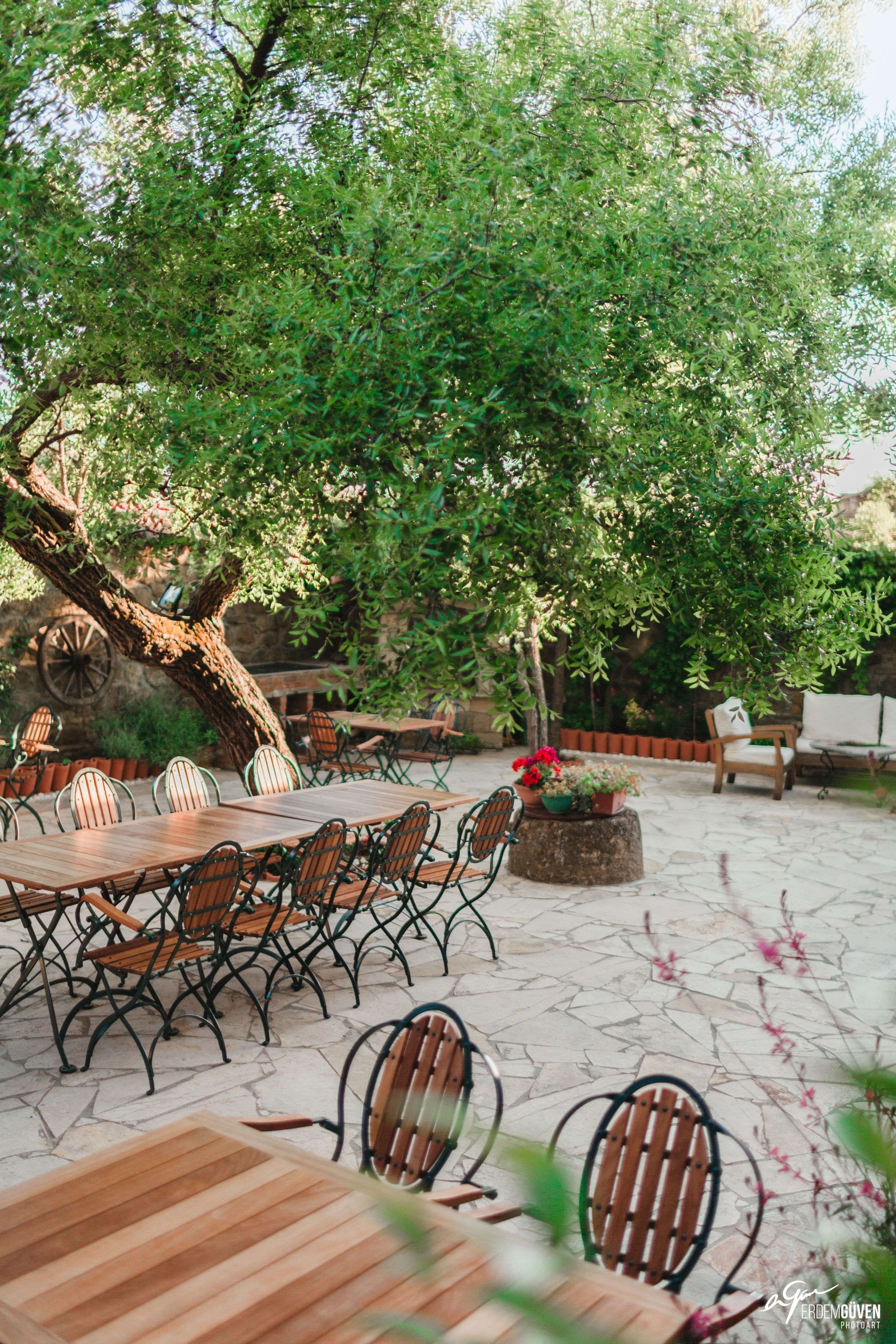 breakfast and dinner served, international cuisine