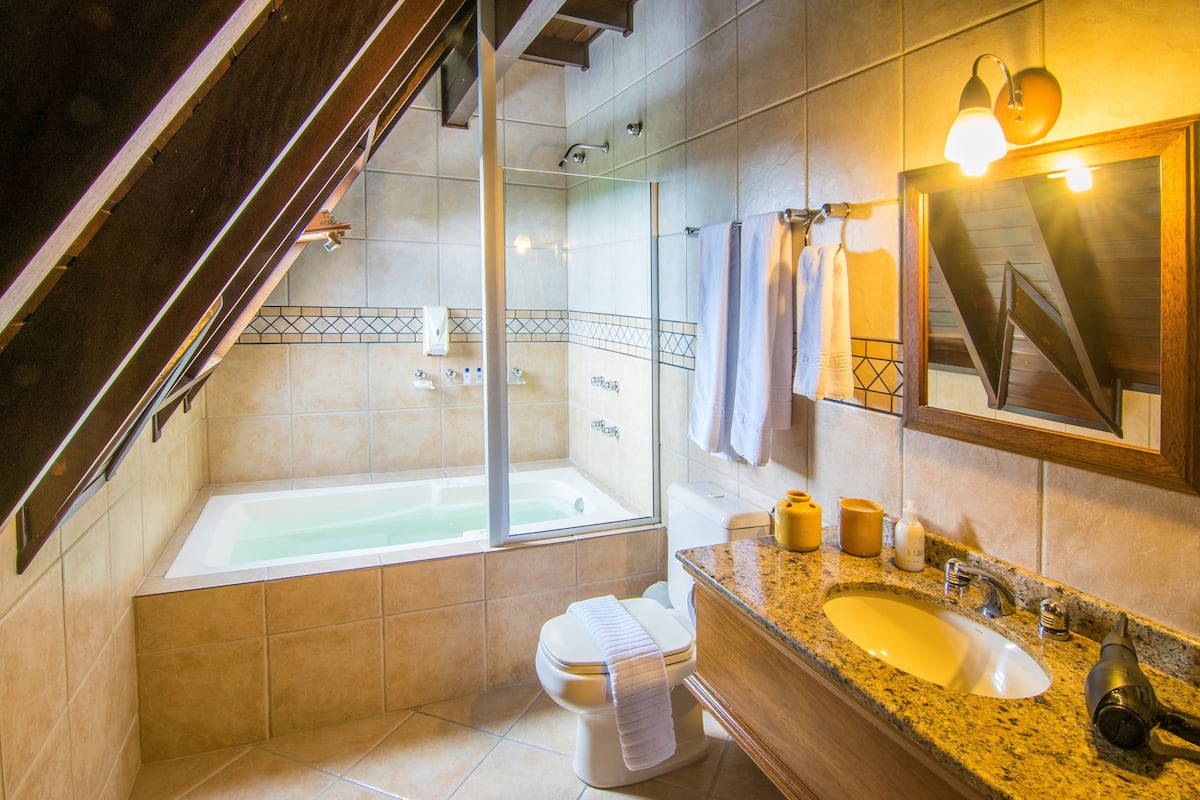 shower, free toiletries, hair dryer, bidet