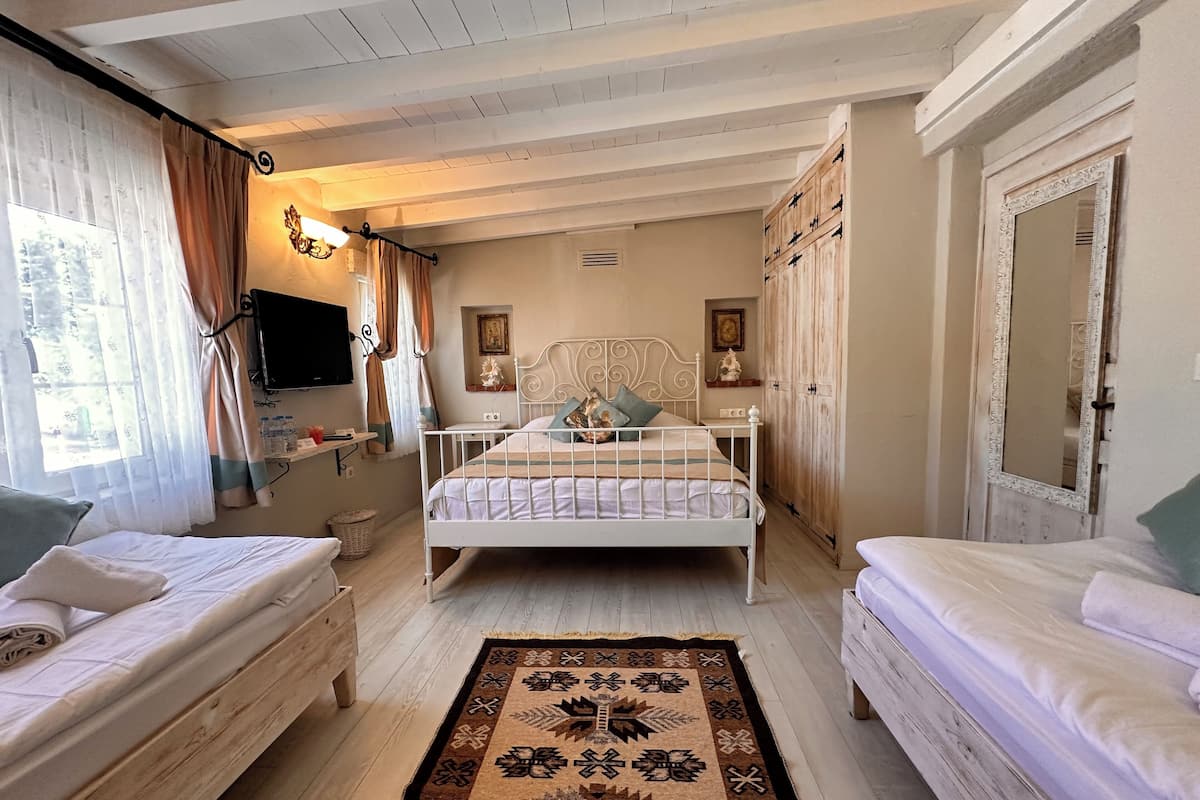 Een slaapkamer met een bed met wit metalen frame, een kamerkleed met dessin, houten meubels en een televisie aan de muur.