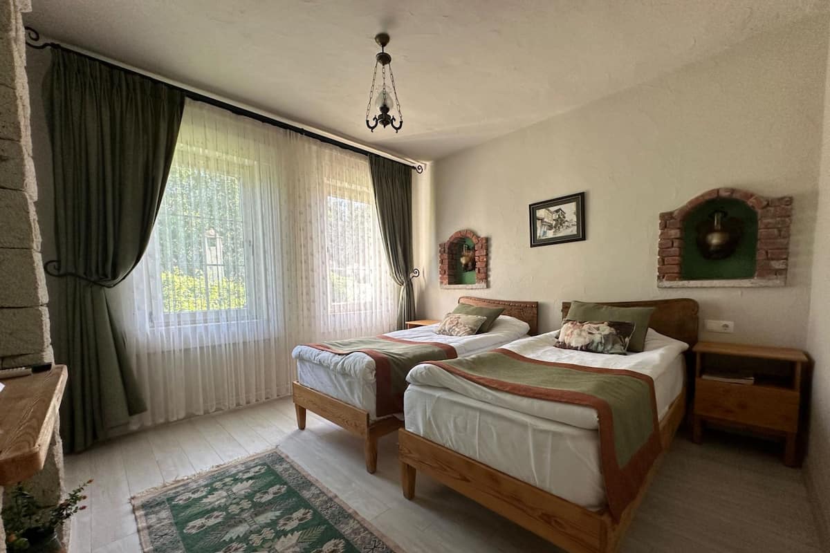 Een slaapkamer met twee houten bedden, een tapijt met groene print, een bakstenen openhaard en een kroonluchter.