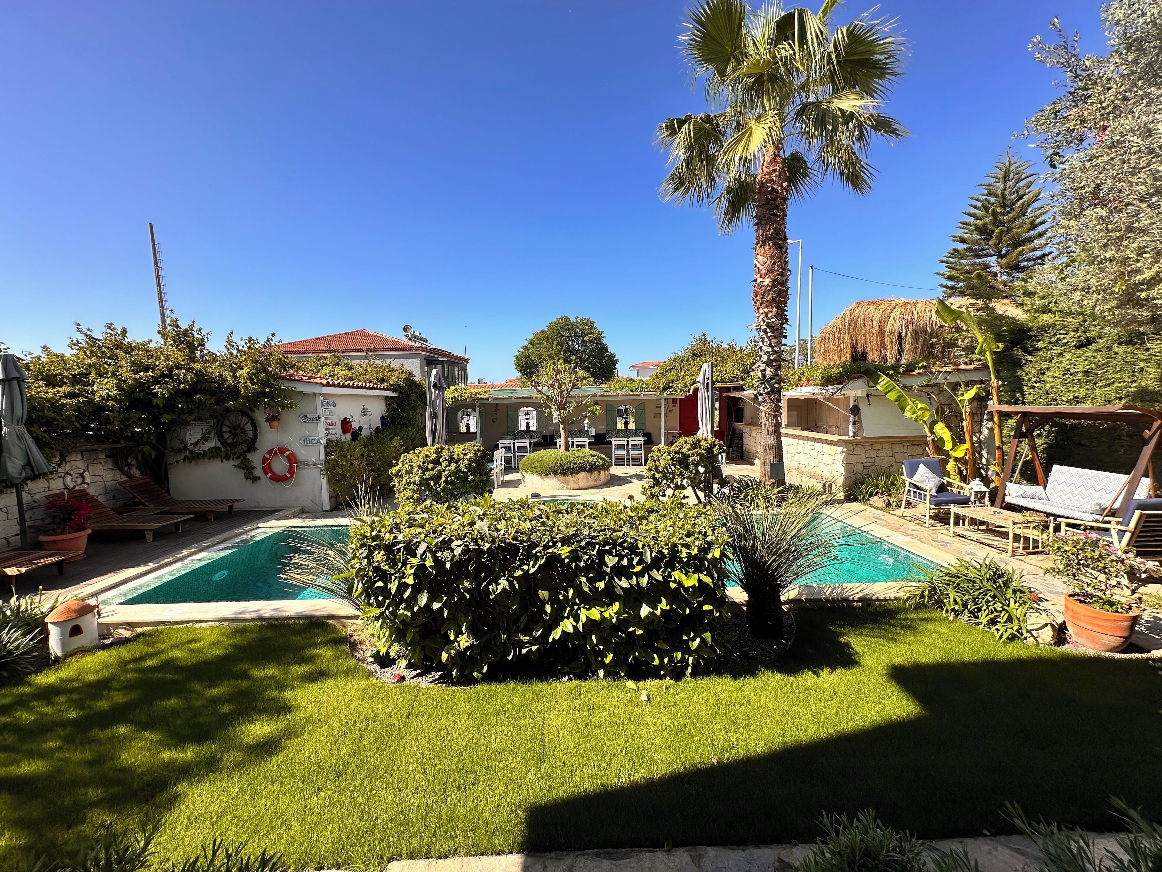 A pool area with a small garden, lounge chairs, and a palm tree.