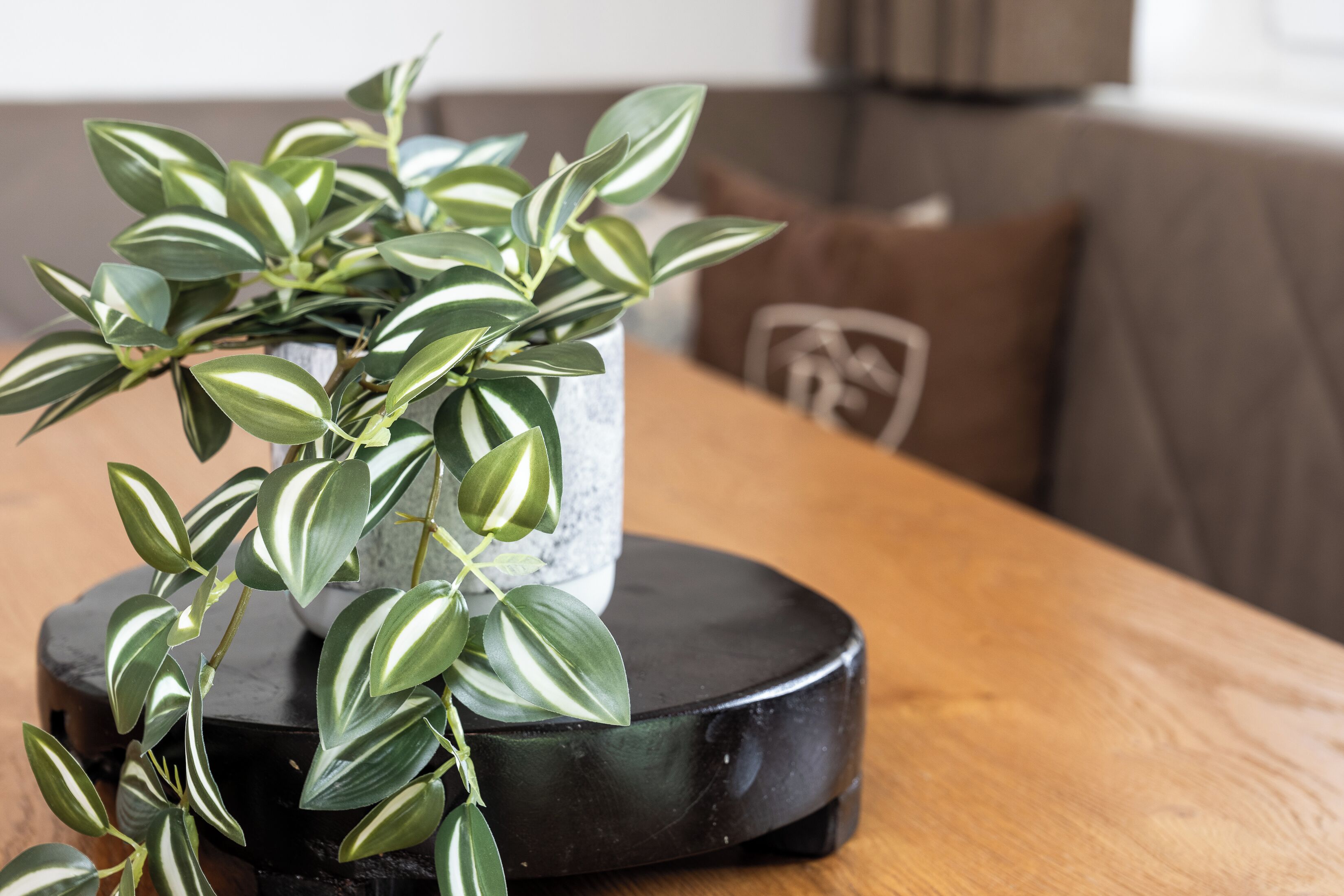 A potted plant on a round black table in a room with a brown sofa and a cushion with a logo.
