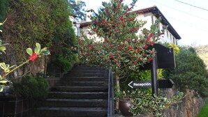 A staircase leading to a building with a reception sign. - Apartamentos Llugarón (Villaviciosa)