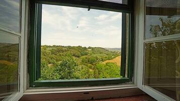 A window with a view of a green landscape, including trees and hills.