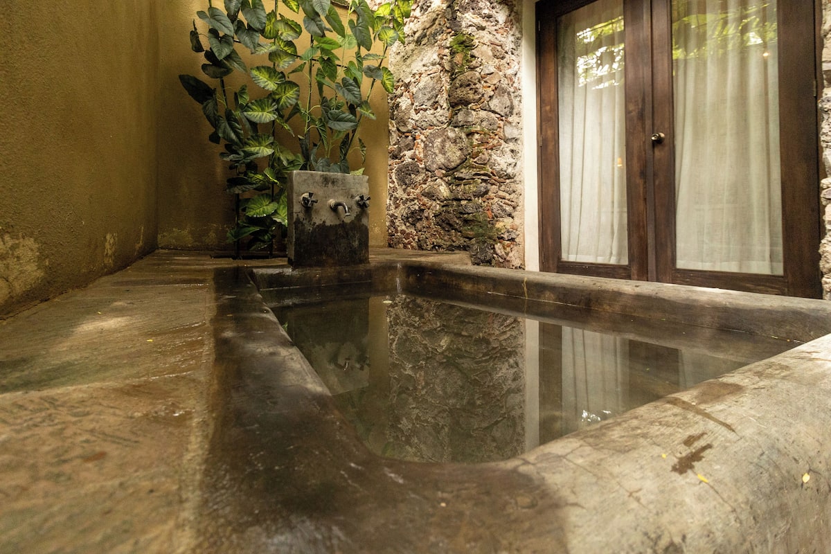 A stone pool with a potted plant, a stone wall, and a wooden door with curtains.