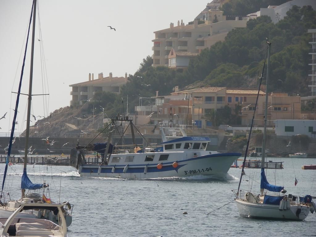A coastal scene with a boat docked near buildings.