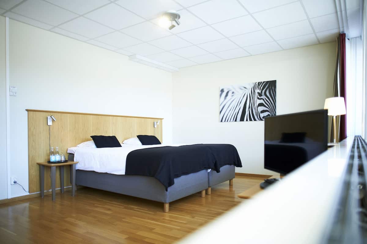 double room | desk, iron/ironing board, free wifi, bed sheets