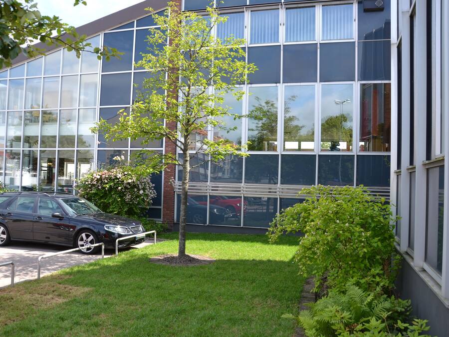 A modern building with large glass windows, a parking area, and a small tree in the foreground.
