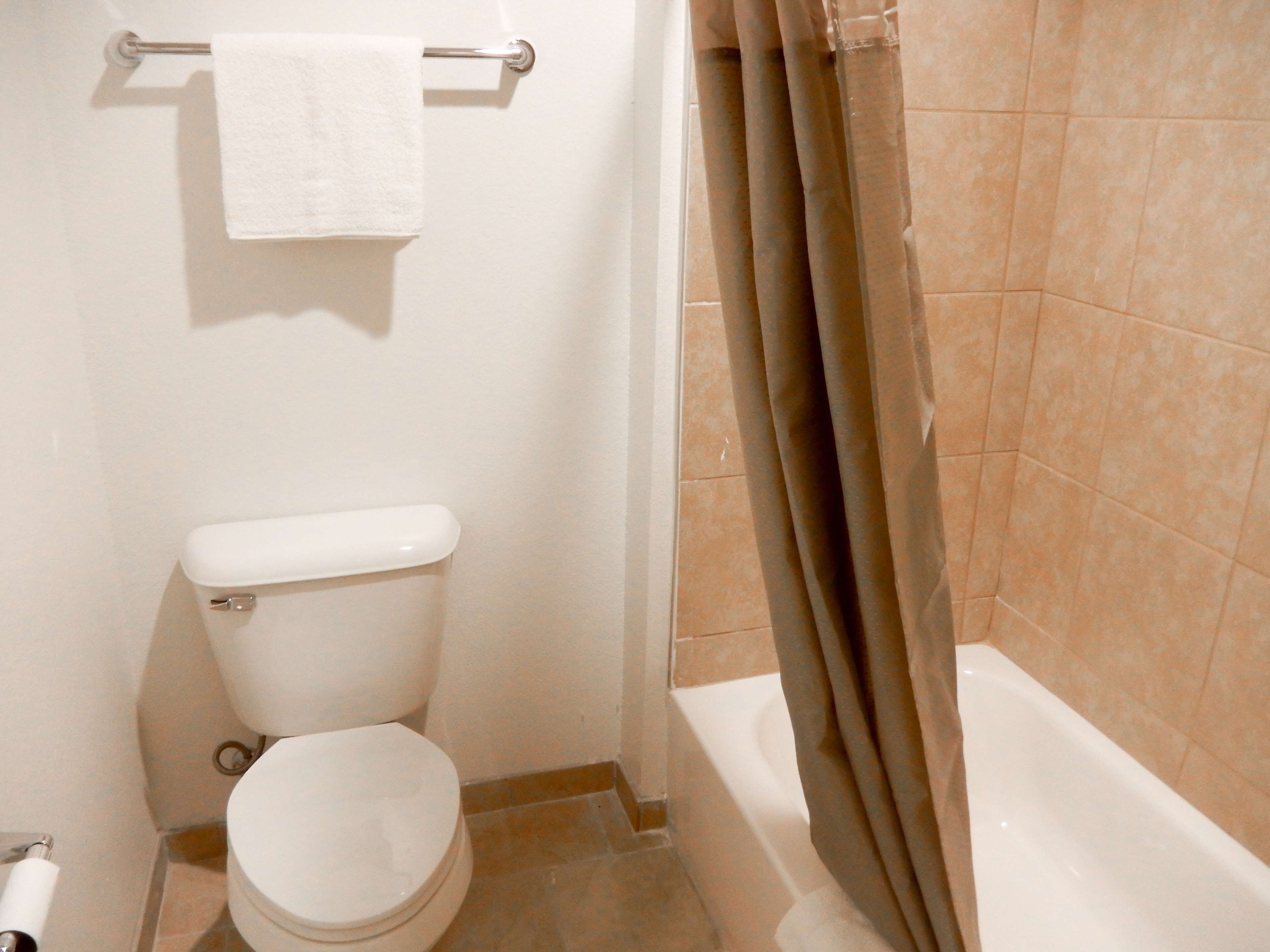A small bathroom with a toilet, a towel rack, and a shower curtain.
