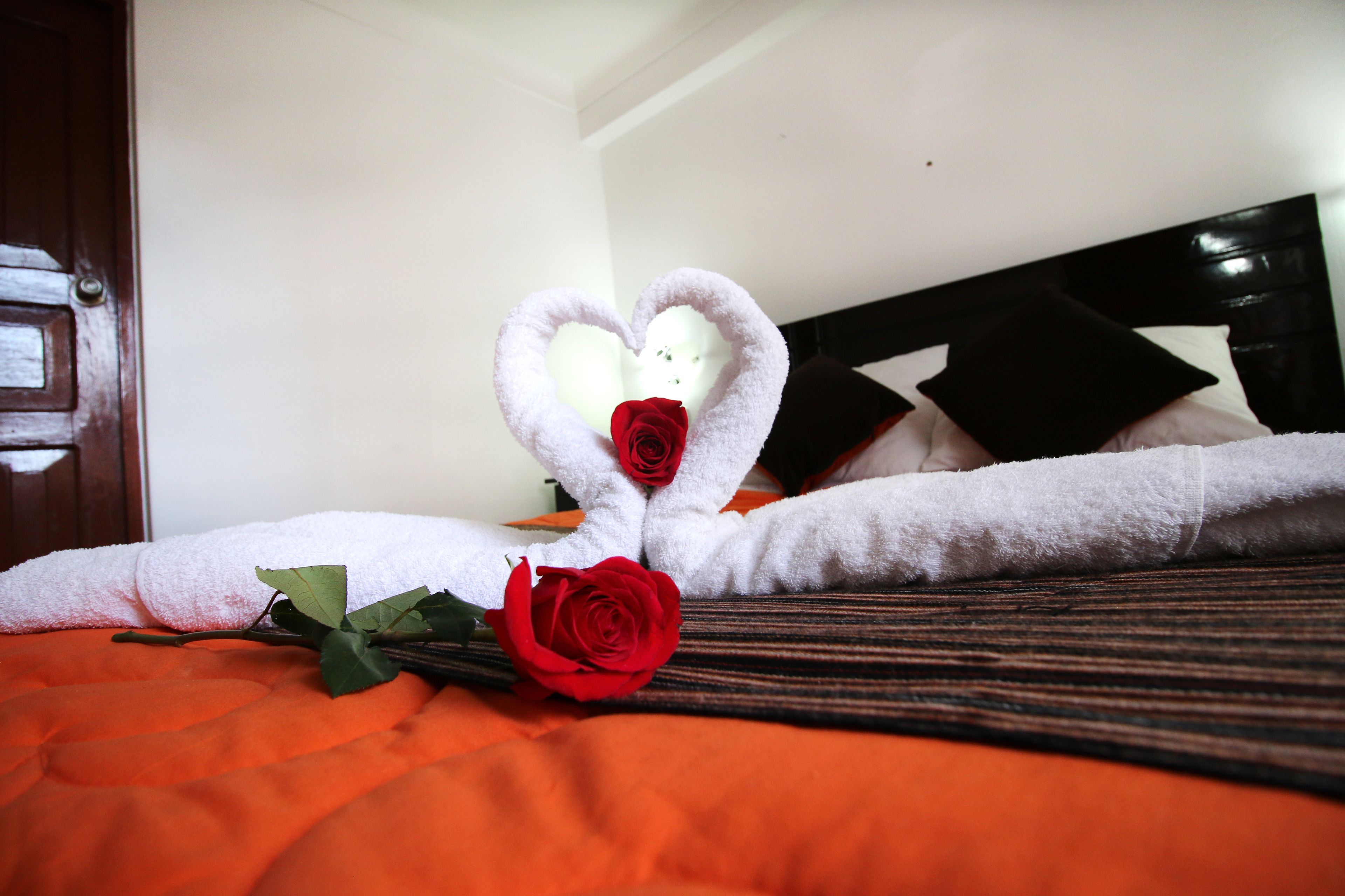 Photo - Hotel Peru Real