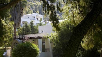 Un bâtiment blanc doté d’un toit plat et de nombreux balcons, entouré d’une végétation luxuriante et d’arbres.