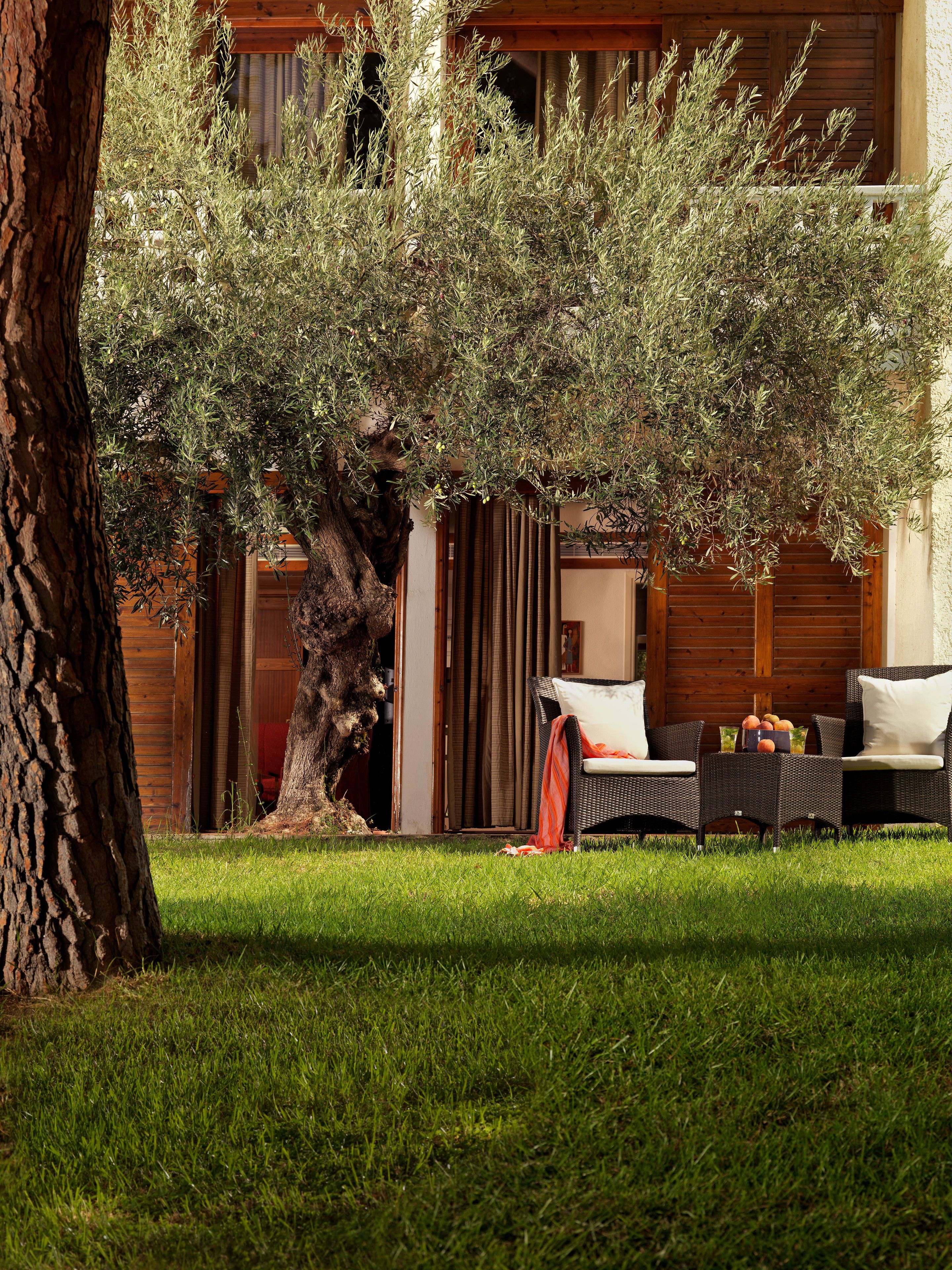A well-maintained outdoor area with a large tree, a wicker sofa with cushions, and a wooden fence.