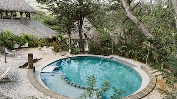 Design Shared Dormitory, Garden View | Outdoor pool