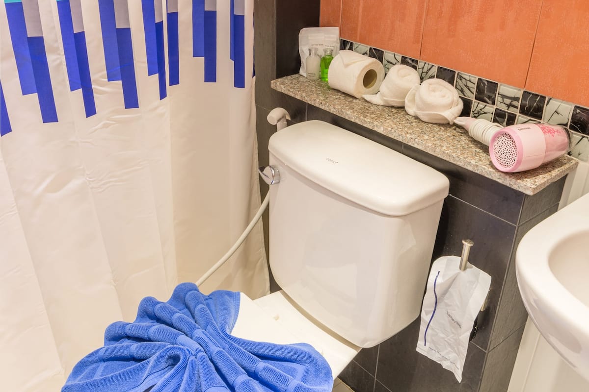 shower, free toiletries, hair dryer, towels