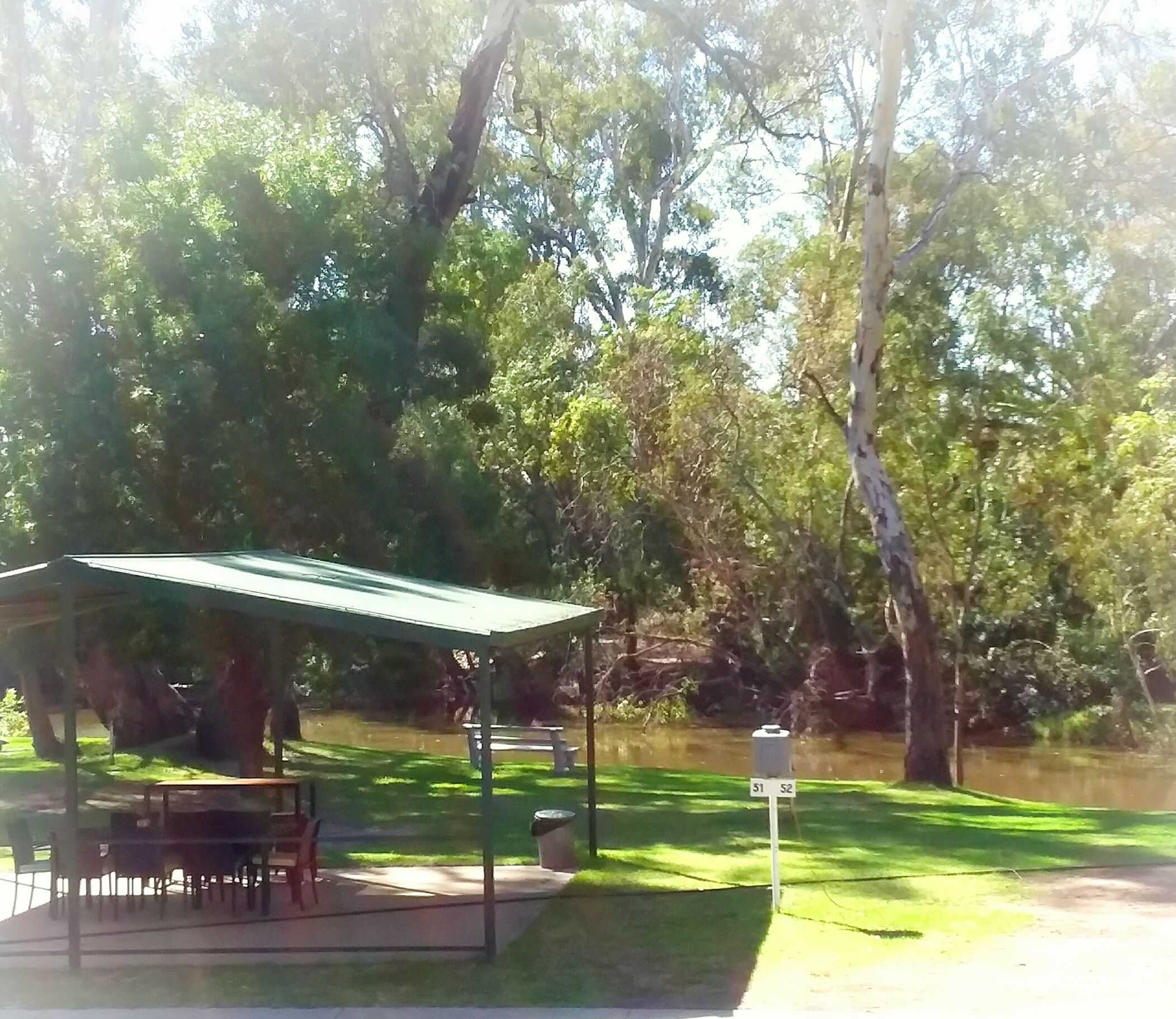 Un espace pique-nique abrité, équipé de tables et de bancs, entouré d’arbres et d’une pelouse.